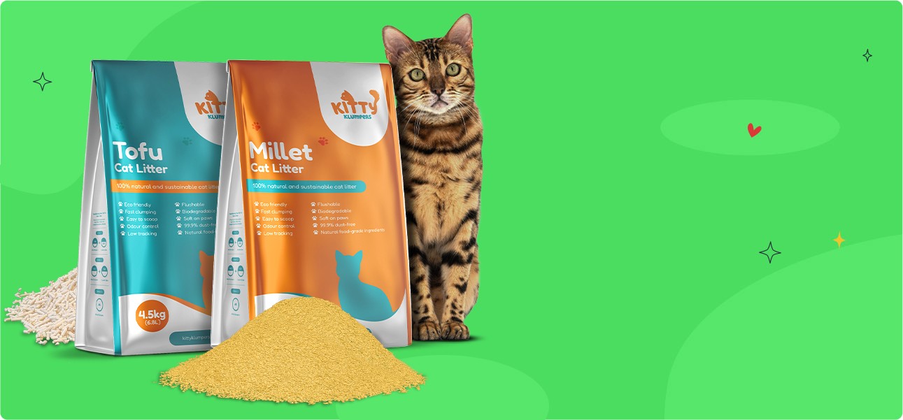 Why is tofu or millet litter your best choice?
