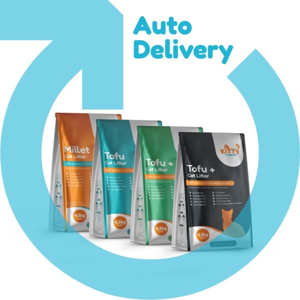 Auto delivery service
